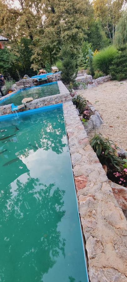 Guest House Mala Prica Zivinice Εξωτερικό φωτογραφία
